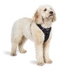 Mikki Doodles Harness for Dogs, Puppies, Adjustable, Quick Release Buckles,