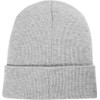 Borussia Dortmund BVB Logo Beanie Grey, gray