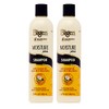 Bigen Moisture Plus Shampoo 12 OZ - 2 pack