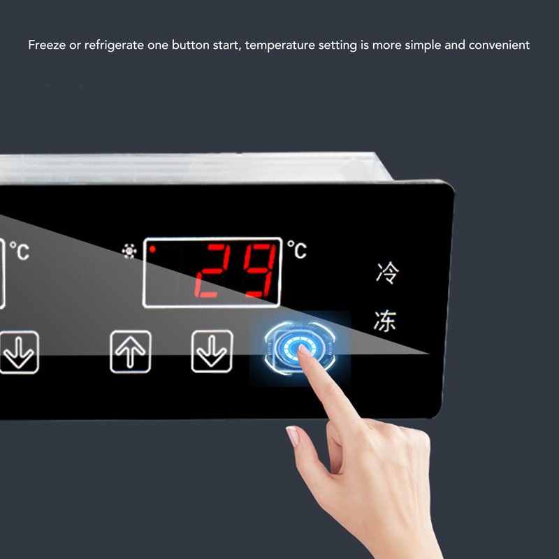 Freezer Temperature Controller Thermostat Regulator Control Board IP65 Protection 220V