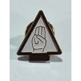 BSA CUB SCOUT ARROW OF LIGHT CORE PIN- SCOUTING ADVENTURE