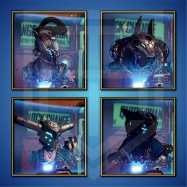 Borderlands 3 [Like Follow Obey] PAX East Exclusive Skins Heads [ALL PLATFORMS] - All Characters