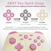 Wireless Switch Controller for Switch/Lite/OLED/Switch 2, Hall Effect Triggers &