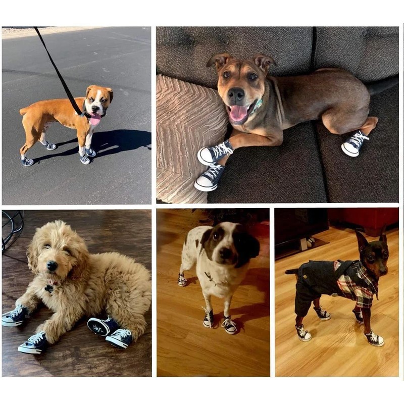 OUPEI 4 Piezas de Zapatos Deportivos de Lona para Perros
