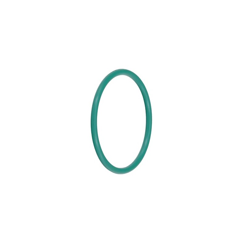 O-Ring Dichtung OR 155 Viton Siebträgerdichtung kompatibel für Quick Mill
