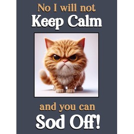 Generic Ginger Cat Kitten funny flexible fridge magnet gift