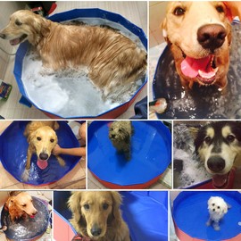 Foldable Pet Bath Pool Collapsible Dog Pool Pet Bathing Tub Pool for Dogs Cats
