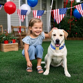 Babole Pet 4th of July Dog Collar, Blue Flag Popsicle Patriotic Pet Collar with Metal Buckel, Adjustable Summer Holiday Dog Collars for Small Medium Large Dogs M