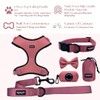 Hot Doggies Dog Walking Bundle Set. 6 COLOURS AVAILABLE. INCLUDES
