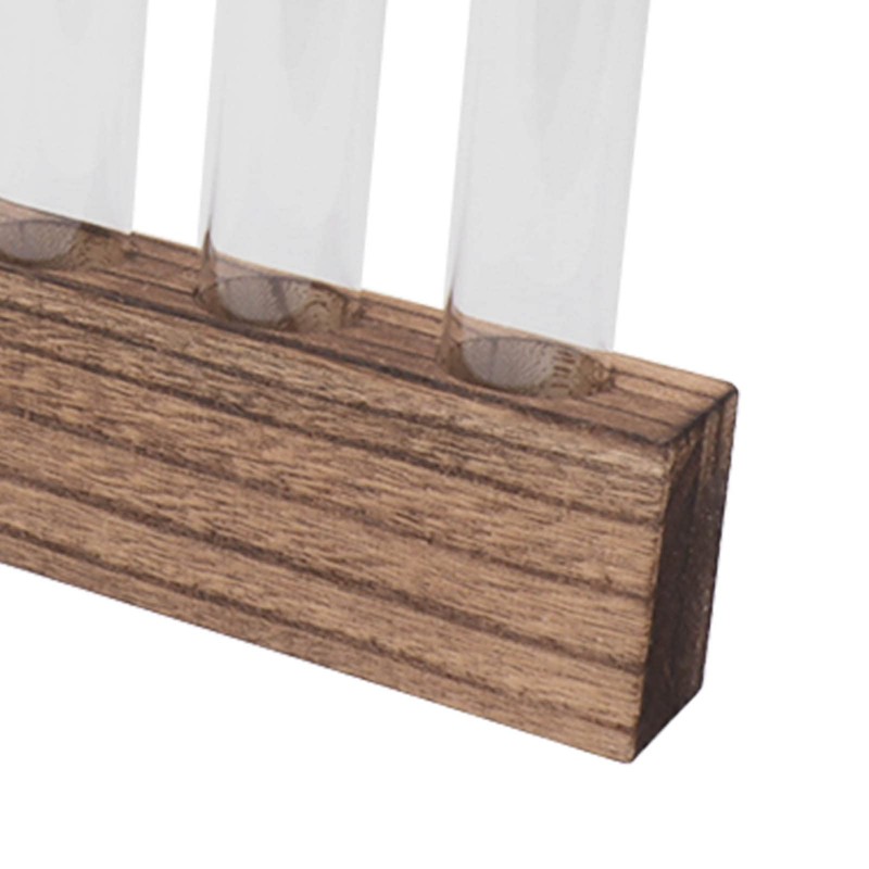 Plant Propagation Station, Plant Propagation Tubes Minimalist Look for Desktop