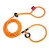 Harness Lead No Pull Dog Harness and Leash Set, Anti