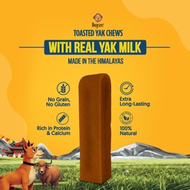 Dogsee Toasted Yak Cheese Himalayan Dog Chews (Medium - 4 Chews) | Extra Long-Lasting | Double Cooked for Extra Smoky Cheese Flavor | Rich in Protein & Calcium | Easy to Digest | for Cleaning Teeth
