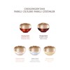 CHOGONGJIN Chaeome Jin Emulsion 120ml