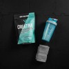 Creatina Monohidratada En Polvo Vygo Bolsa Suplemento