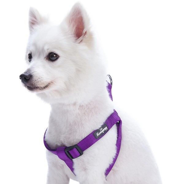 Blueberry Pet Essentials Classic Durable Solid Nylon Step-in Dog Harness, Chest Girth 26" - 39", Dark Orchid, Large, Adjustable Harnesses for Puppy Boy Girl Dogs
