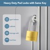 DELSWIN Weatherproof Padlock with Key (Keyed Alike) - Heavy Duty