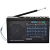 Supersonic 9-Band Rechargeable Radio with Bluetooth® and USB/microSD™ Card Input,...