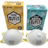 Aswan DS2 Disposable Dust Mask