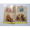 Steiff The Great Steiff Bear Catalog Button In Ear Catalog