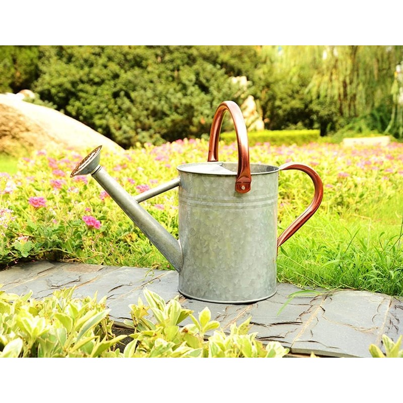 Plexon 2 Gallon Copper/Silver Galvanized Steel Watering Can, 9.5" D