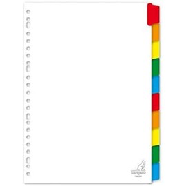 Index Kangaro DIN A4 Blank Cardboard 190 g 23 Pages 10 Pieces White Assorted Tabs