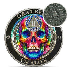 Rainbow Skull 2 Year Sobriety Coin - Grateful I'm Alive AA Coins - Recovery Addiction NA AA Chips and Medallions - 1-10 Years Living Clean Narcotics Alcoholics Anonymous Gifts for Men Women