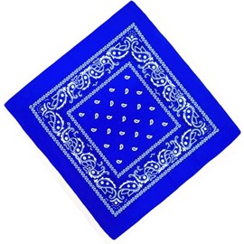 Unknown Biker Motorbike Bandana Head Scarf in Cloth Various Paisley Pattern Colours -