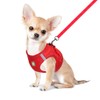 FEimaX Dog Harness and Leash Set, No Pull Soft Mesh