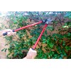 Corona SL 3310 Bypass Lopper, 24" Steel Handles, 1-1/2" Cut