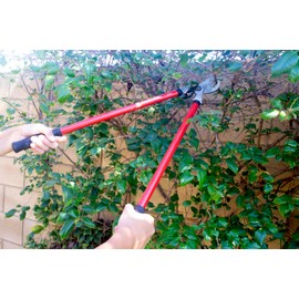 Corona SL 3310 Bypass Lopper, 24" Steel Handles, 1-1/2" Cut