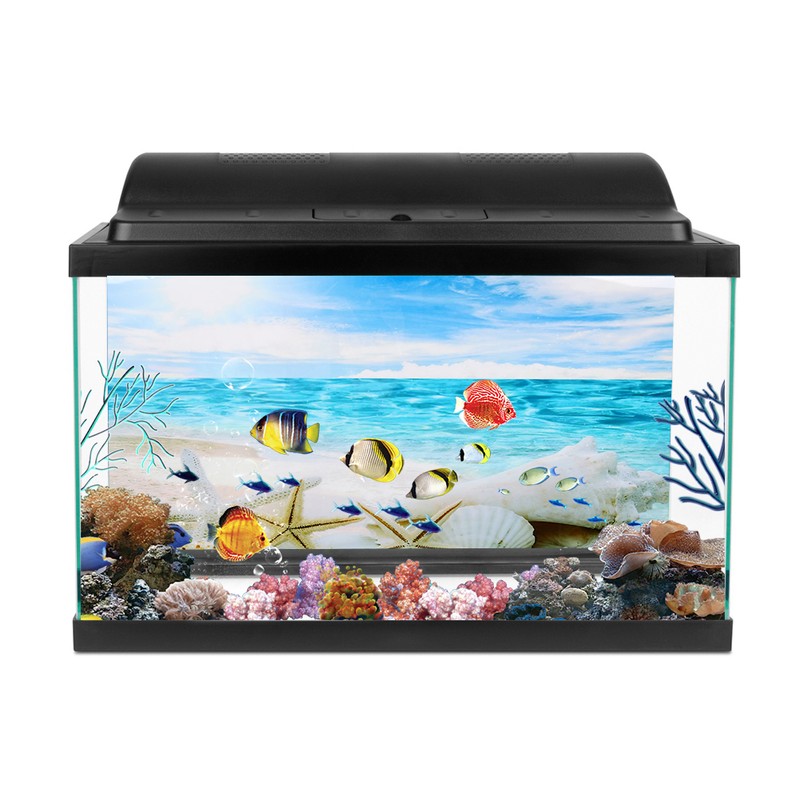 Background Poster Decorative Sea Star Paintings PVC Sticker Landscape for