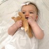 Detachable Pacifier Holder – Silicone Pacifier with Stuffed Animal –