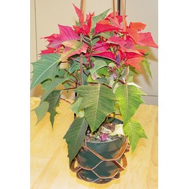 LeatherUnltd Leather Monkey Sling Candle/Plant Hanger, set of Three