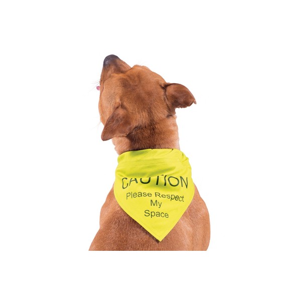 Ancol Respect My Space Warning Bandana for Dog, Small/Medium, Yellow