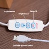 AIEHOUSE LED Wood Desk Ambience Light, Bedroom Bedside Night Light,