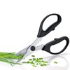 Triangle 50 478 09 02 Herb Scissors, Steel, Black/Silver –