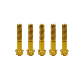 RISON Titanium Bolts M8 x 1.25 x 50 mm Titanium Screws Torx Titanium Screws for Motorcycles Hex Head Dual Drive Golden Titanium Flange Screw Pack of 5