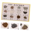 Hohopeti 12-Piece Mineral Rock Specimen Kit for Collection Geology Classroom