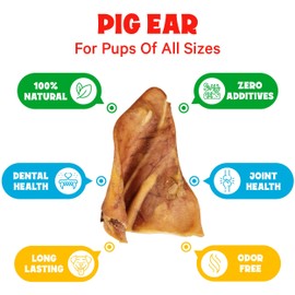 FETCHERONI Whole Pig Ears for Dogs Large - 50 Pack Long Lasting Dog Chews – Dog Treats One Ingredient Delicious All Natural Flavor – Easy to Digest Dog Treats for Large Dog - Great for Teeth and Gums