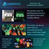LUMENTICS Paint Colour: White Glow-In-The-Dark, 100 g Glow-In-The-Dark Colour With