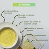 Golden Milk : Leche dorada