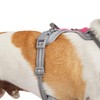 EveryYay Front Walking Reflective Dog Harness, Pink, Medium