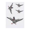 4 x 'Pigeon with Attitude' Temporary Tattoos - Water Resistant,