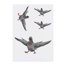 4 x 'Pigeon with Attitude' Temporary Tattoos - Water Resistant, Skin-Safe, Non-Toxic Transfers, Mixed Sizes (TO00074874)