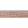Anjumain Miva King Cushion Season 2 25g, No. 21 Bright