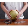 2 Pack Coconut Opener Tool Set with 4 Reusable Straws
