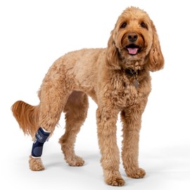 Balto Hock Brace – Dog Brace with Aluminum Splints – Pre/Post Surgery Helps Support Arthritis and Unstable Joints – Back Leg Support (Small)