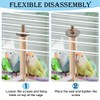 360 Degree Free Rotating Bird Toy, Hanging Toy for Bird