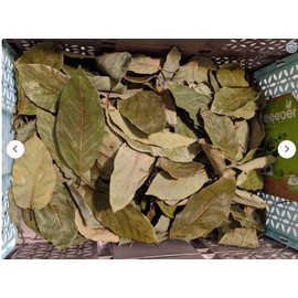 2 oz (60 gram) Air Dried Natural Avocado Whole Leaves, Leaf Herbal Tea, No pesticide spray from Fallbrook, Avocado Capital of the World Hoja De Aguacate Great for cooking Mexcian Dishes, Persea Americana, Avocatier, Aguacate- Resealable Stand Up Pouch fo