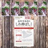 MAGIELAB eye patch, eye area skin, eye area treatment, high elasticity patch, long type, 6 pieces, 24 pieces / MAGIELAB 눈 패치 눈가 피부 눈가 트리트먼트 고탄력 패치 긴타입 6개 24개입